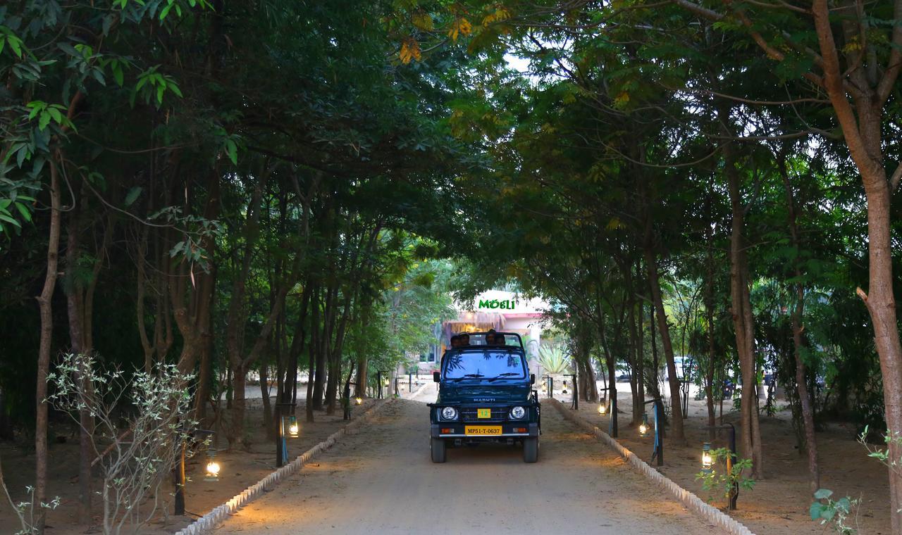 Mogli Resort Kanha Bagian luar foto