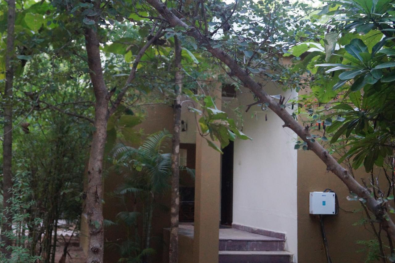 Mogli Resort Kanha Bagian luar foto