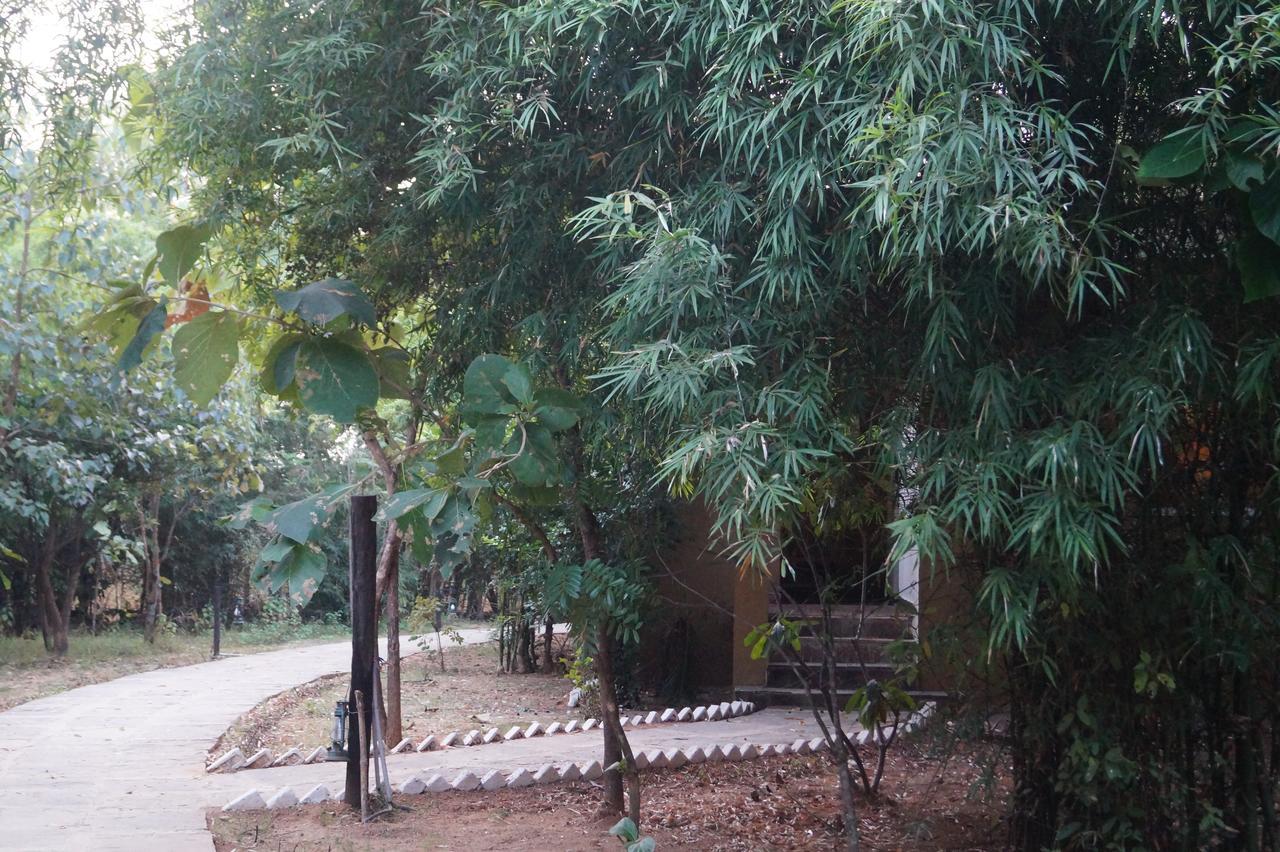 Mogli Resort Kanha Bagian luar foto